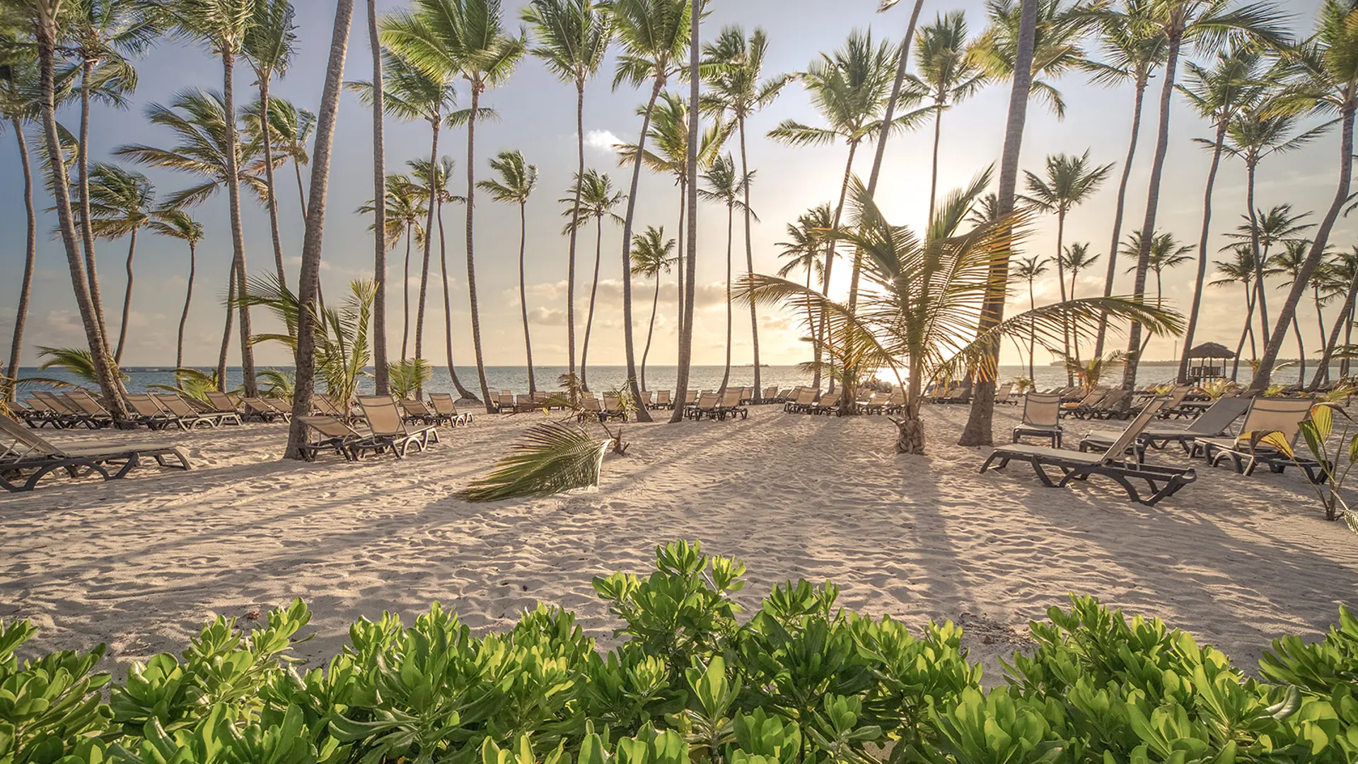 Collas Crill BVI appoints new Managing Partner