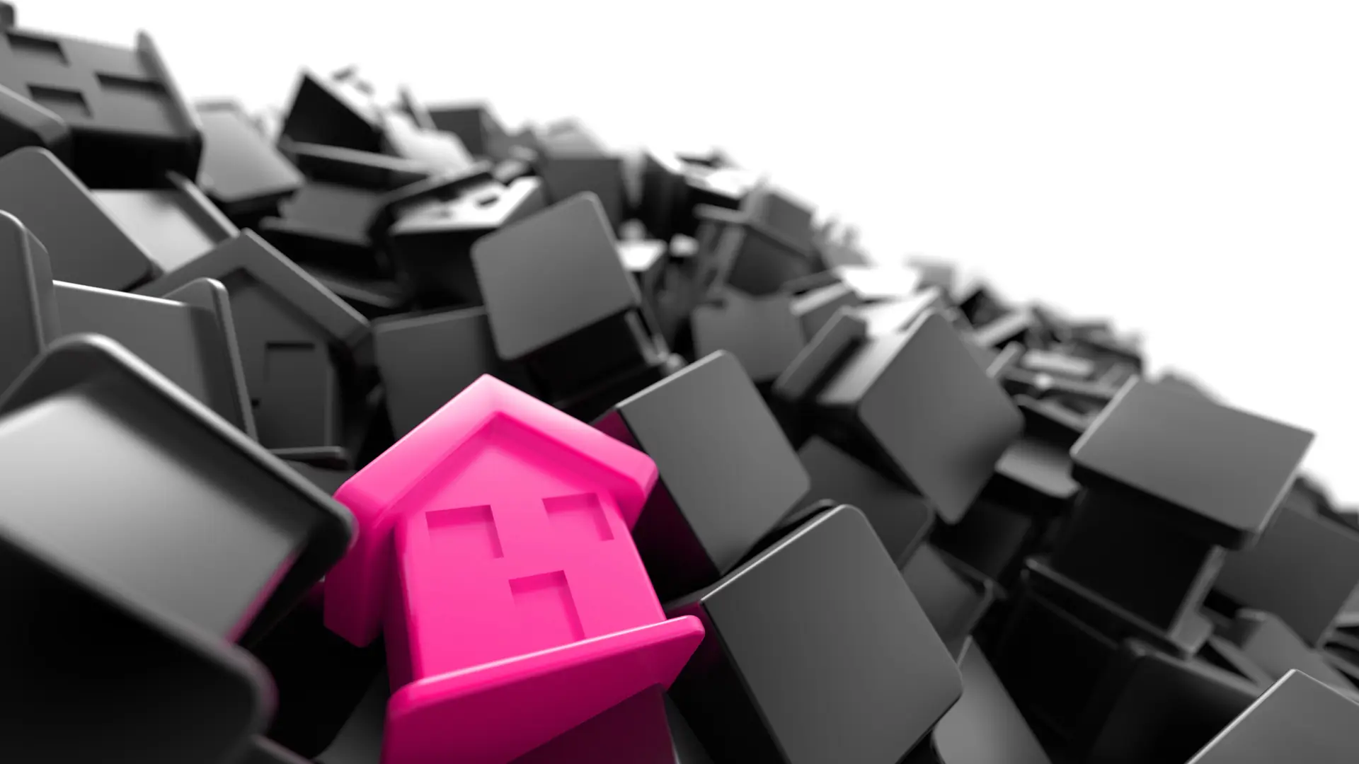Legal life: past, present and future