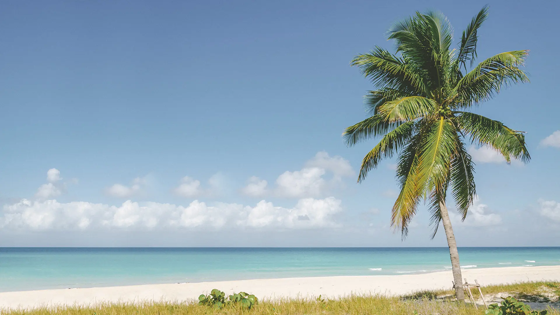 Changes to Cayman Islands Companies Law 2019
